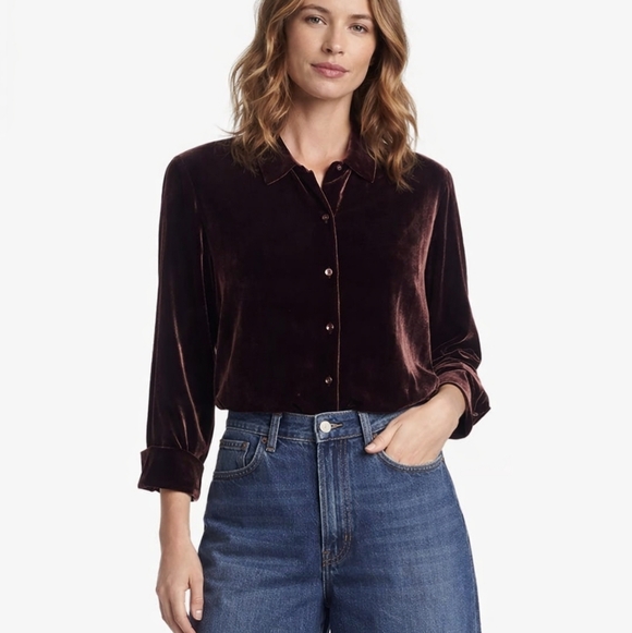 Eileen Fisher Tops - Eileen Fisher Velvet Oversized Button Down Long Shirt Tunic Size Small